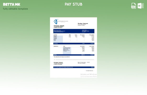 Модерен стил Шаблон за изјава за заработка на Воздухопловна компанија